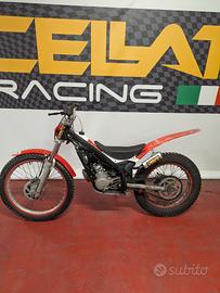 beta trial evo 80 senior 