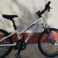 Bici bambina specialized