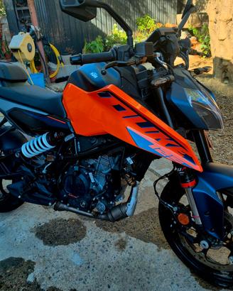KTM Duke 125  2024 nuova