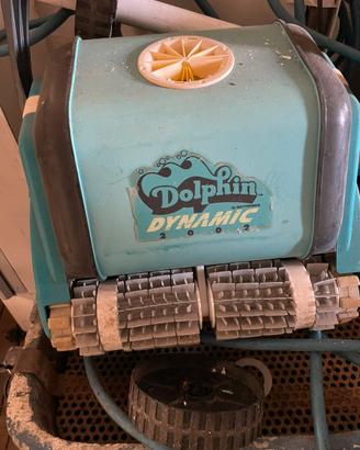 Robot Dolphin dynamic 2002