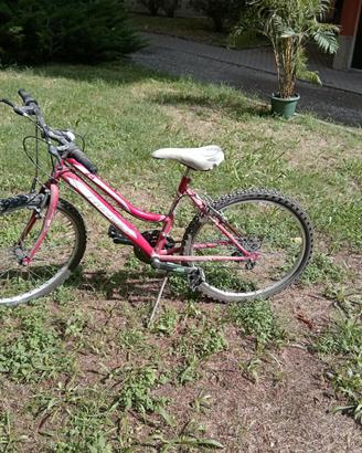 Bicicletta 