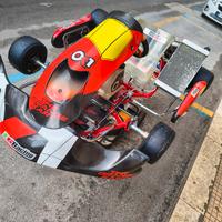kart ok1 dragon Evo 3 anno 2024