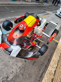 kart ok1 dragon Evo 3 anno 2024