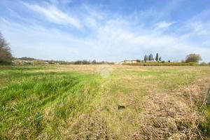 TER. AGRICOLO A VOLTA MANTOVANA