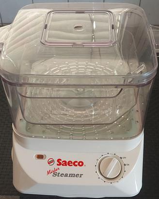 VAPORIERA SAECO Mister Steamer