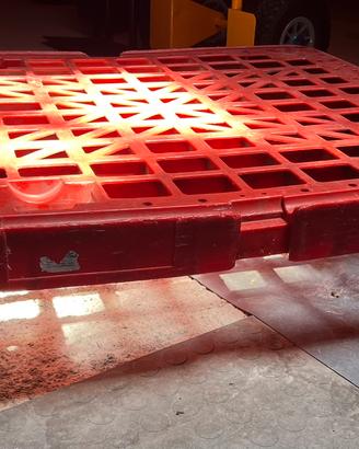 Carrello