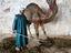 Immagine 2
