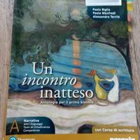 Un incontro inatteso A narrativa