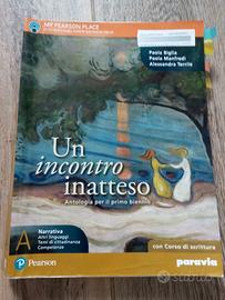 Un incontro inatteso A narrativa