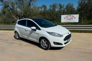 Ford Fiesta 1.5 TDCi 75CV 5 porte Titanium 2014