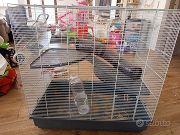 gabbia grande per conigli/porcellini d'india 