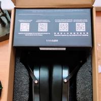 Hifiman Ananda Stealth v3 Magnet headset cuffie