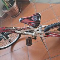 Bicicletta per ragazzi con raggio 20