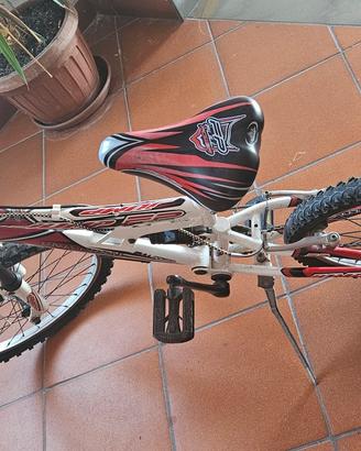 Bicicletta per ragazzi con raggio 20