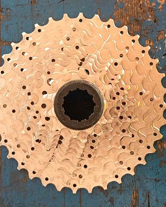 casetta sram 10v