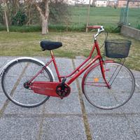 bicicletta donna con cestino pronta all'uso 