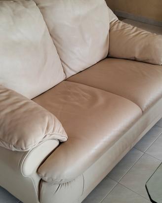 Divani in pelle due posti  