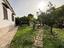 Immagine 21