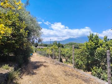 Terreno Agicolo 6500Mq + C2 Ristrutturato Acireale