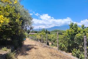 Terreno Agicolo 6500Mq + C2 Ristrutturato Acireale