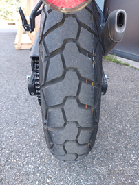 Gomme Himalayan 450