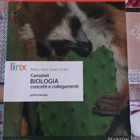 Libri scolastici superiori