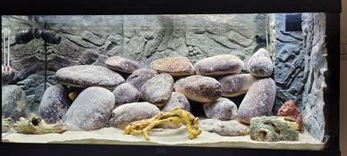 Acquario Juwel Rio 180 LED completo di mobile