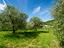 Immagine 17