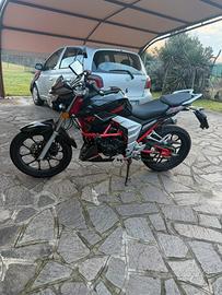 Senke SKX – 10.000 km –