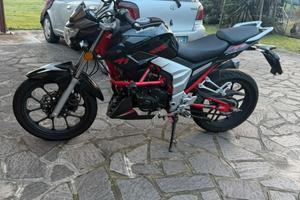 Senke SKX – 10.000 km –