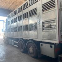 Scania trasporto animali vivi