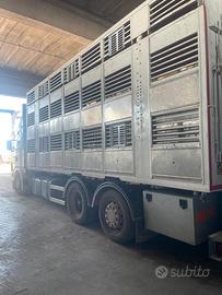 Scania trasporto animali vivi