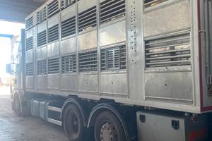 Scania trasporto animali vivi