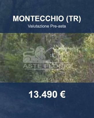 Immobile in asta di 680 m² a Montecchio