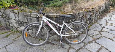 City bike