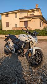 Hornet 600 