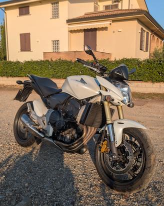 Hornet 600 