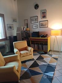 grande tappeto pelo corto giallo e grigio