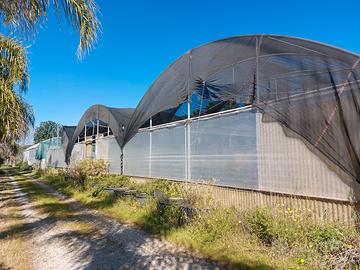 Terreno con capannone e attrezzature