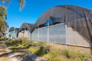 Terreno con capannone e attrezzature