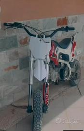 Pit bike 150