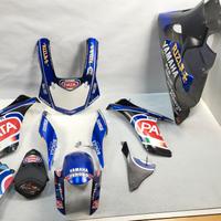 CARENE stradali flamingo corse pata YAMAHA R1 R1M 