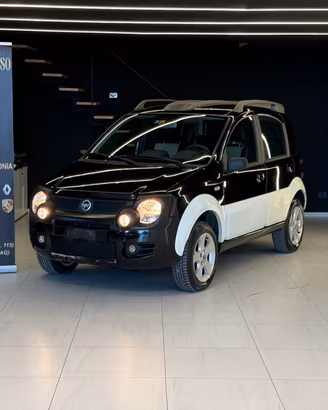 Fiat Panda 1.3 JTD 4x4 Cross