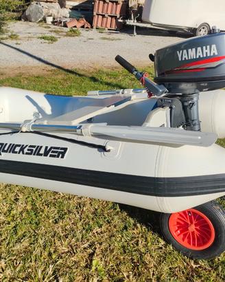 Tender gommone Quick Silver con motore 2 tempi