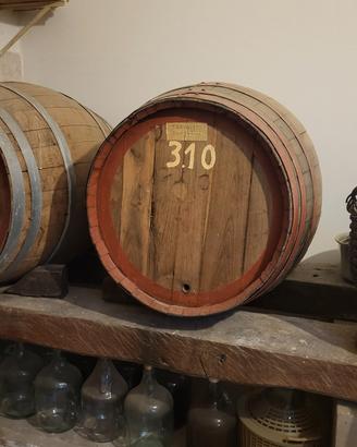 botte in legno di rovere