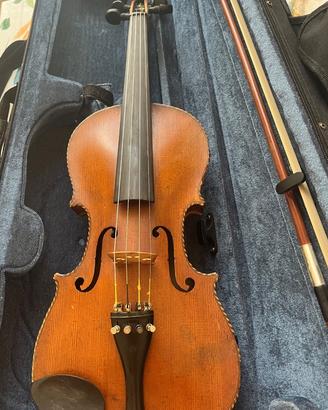 Violino