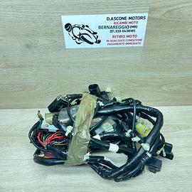 CABLAGGIO SH 125 2012 2017