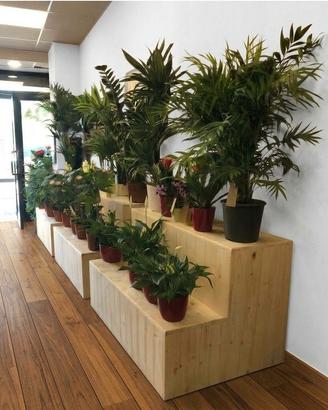 x piante arredo  legno design fiera allestimento