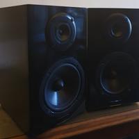 Casse Hi End Audiophile perfettamente funzionanti