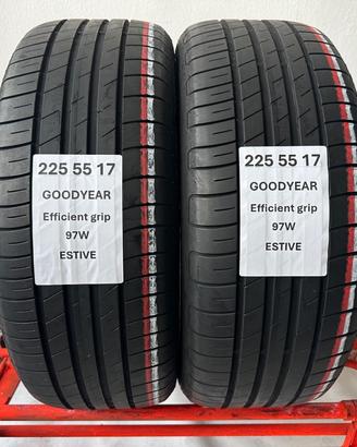 2 gomme 225 55 17 GOODYEAR